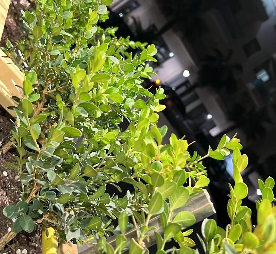 Sea View Apartments Lungomare فلورا ألبانيا